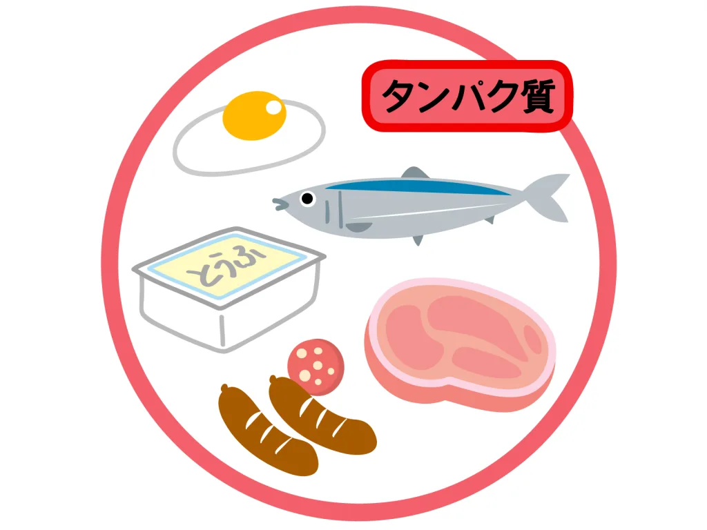 23611041 | 神楽坂のパーソナルジム|QUALITAS神楽坂店 タンパク質