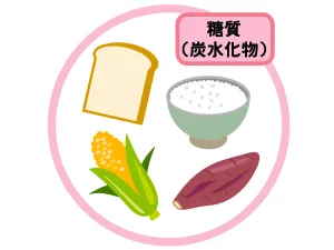 炭水化物たち
