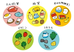 三大栄養素たち