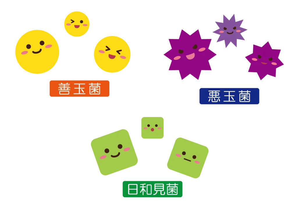 22664948 | 神楽坂のパーソナルジム|QUALITAS神楽坂店 腸活
