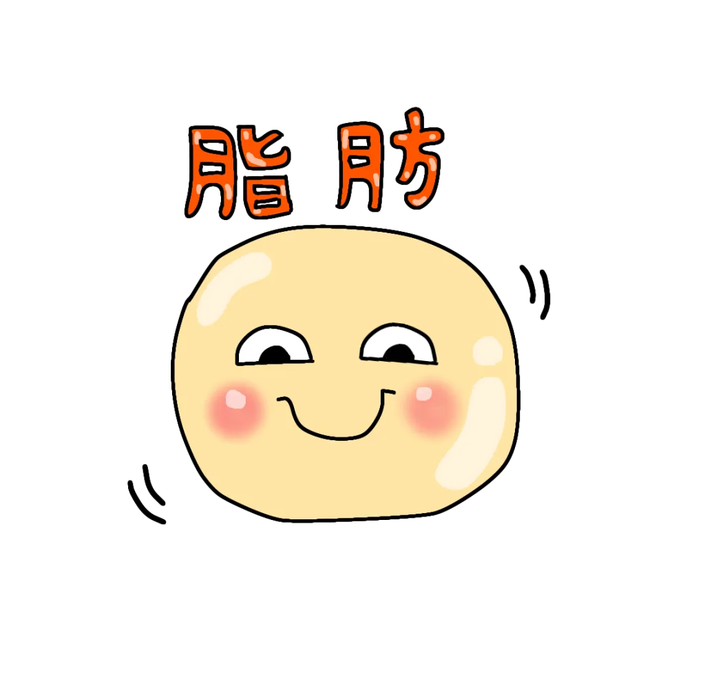 脂肪細胞
