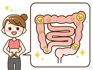 健康な腸