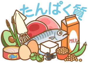 いろんなタンパク質