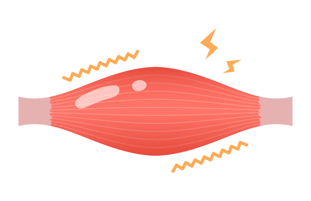 23434662 | QUALITAS神楽坂店【トレーニング×痩身エステ】