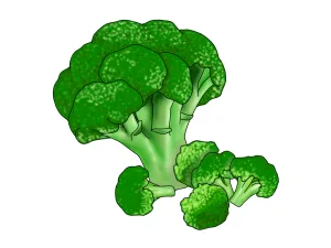 22041015 | QUALITAS神楽坂店【トレーニング×痩身エステ】