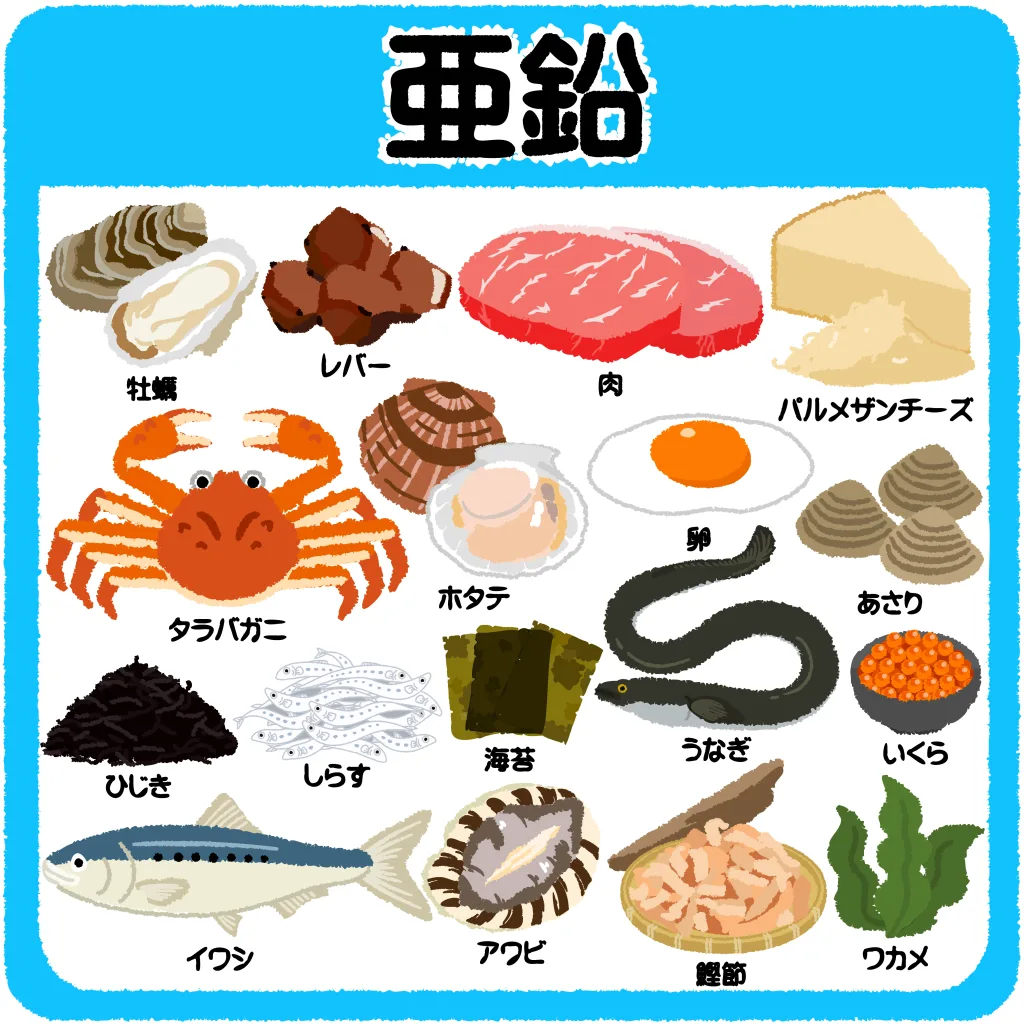 23551914 | QUALITAS神楽坂店【トレーニング×痩身エステ】