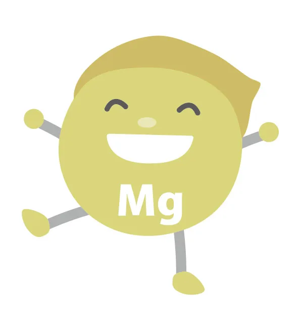 27098963 | QUALITAS神楽坂店【トレーニング×痩身エステ】