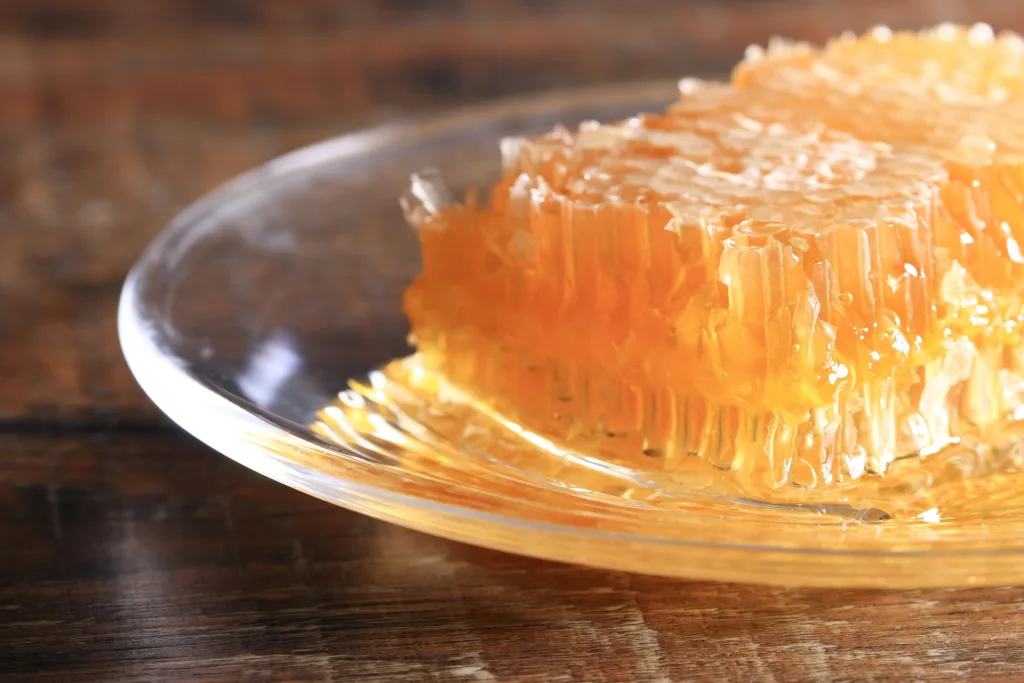 33700002_m | QUALITAS神楽坂店【トレーニング×痩身エステ】