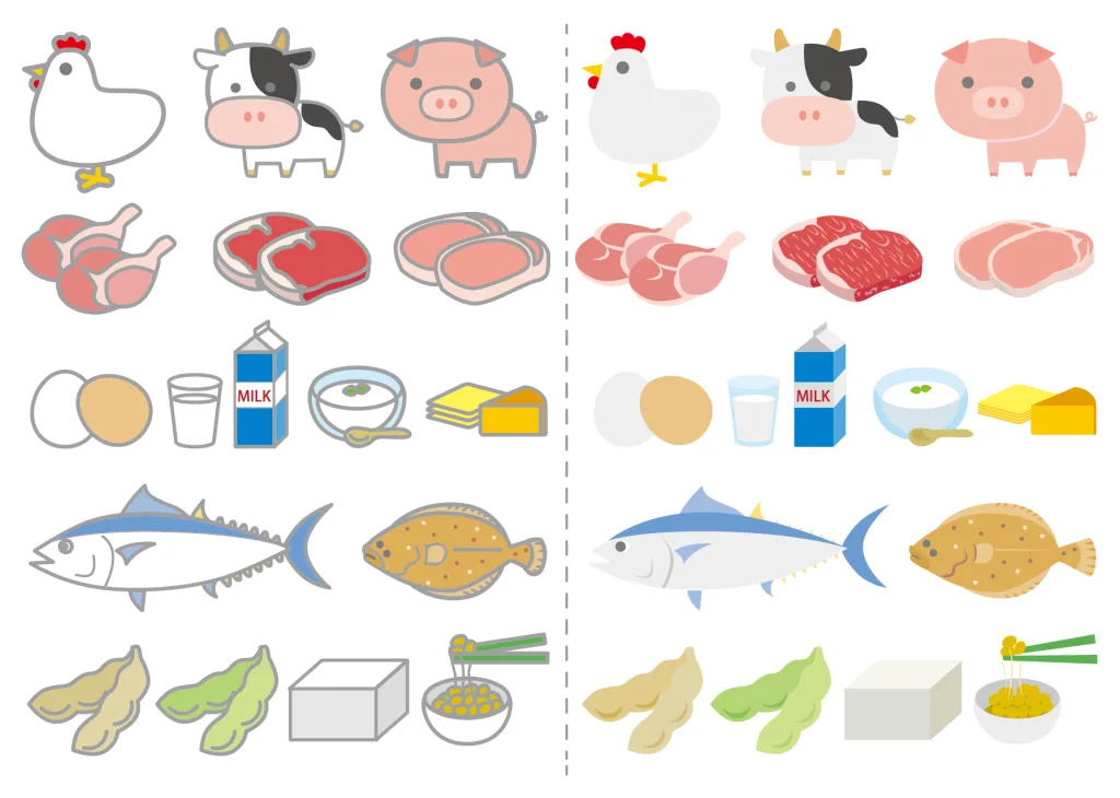 213030 | 神楽坂のパーソナルジム|QUALITAS神楽坂店 たくさんの食材