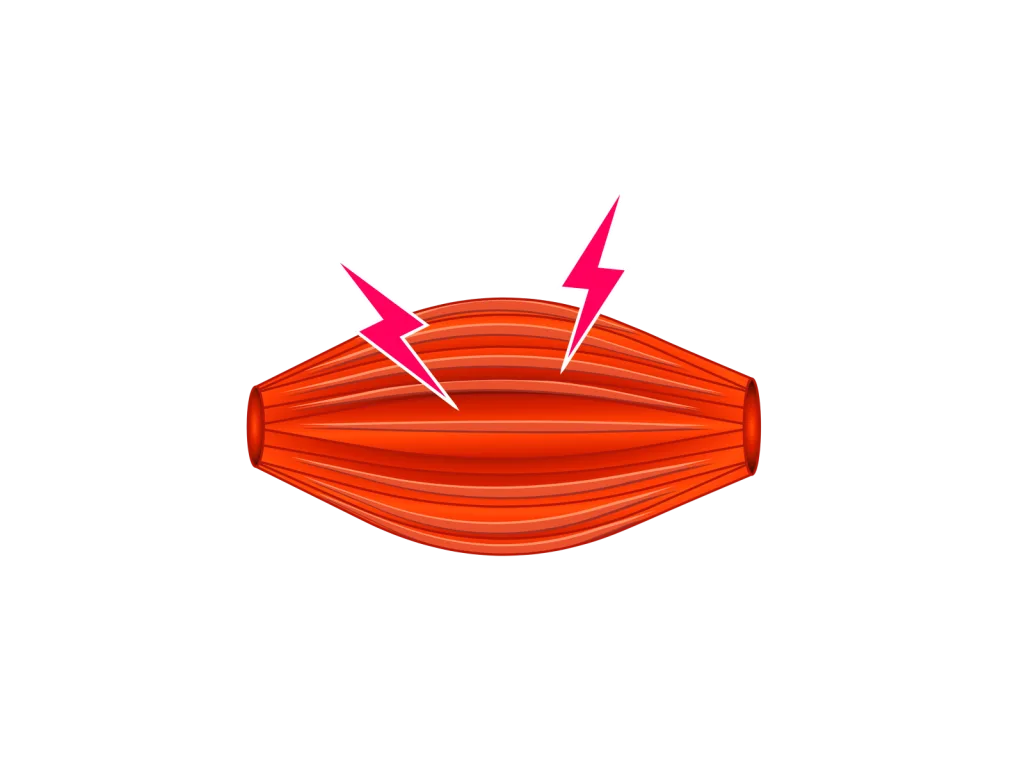 筋肉に刺激が与えられている