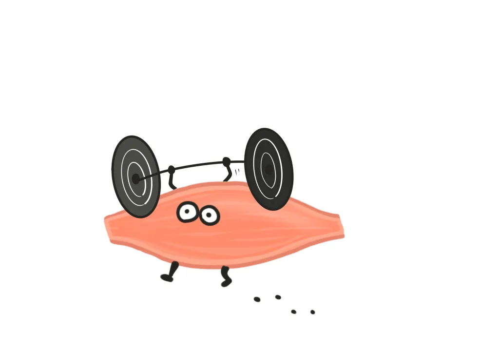 ダンベルを運ぶ筋肉