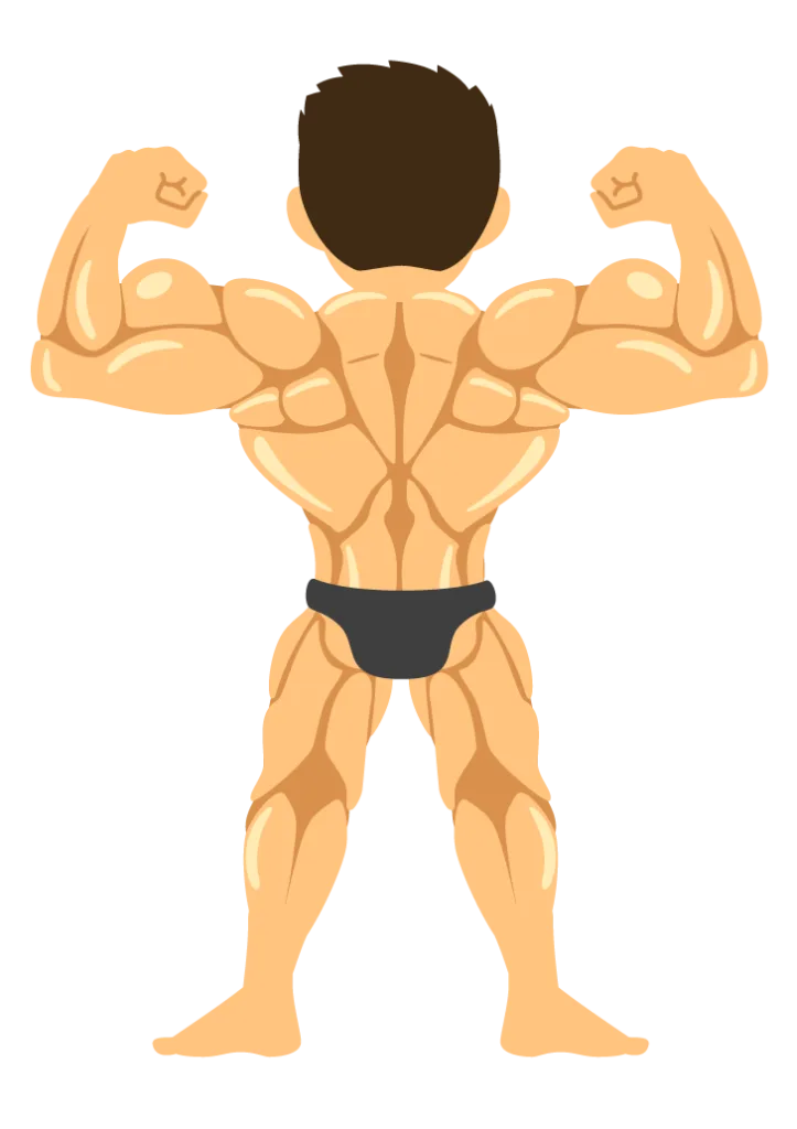 1580329 | 神楽坂のパーソナルジム|QUALITAS神楽坂店 マッチョな男性の後ろ姿