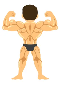 背中がムキムキの男性
