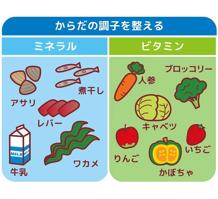 ビタミンとミネラル